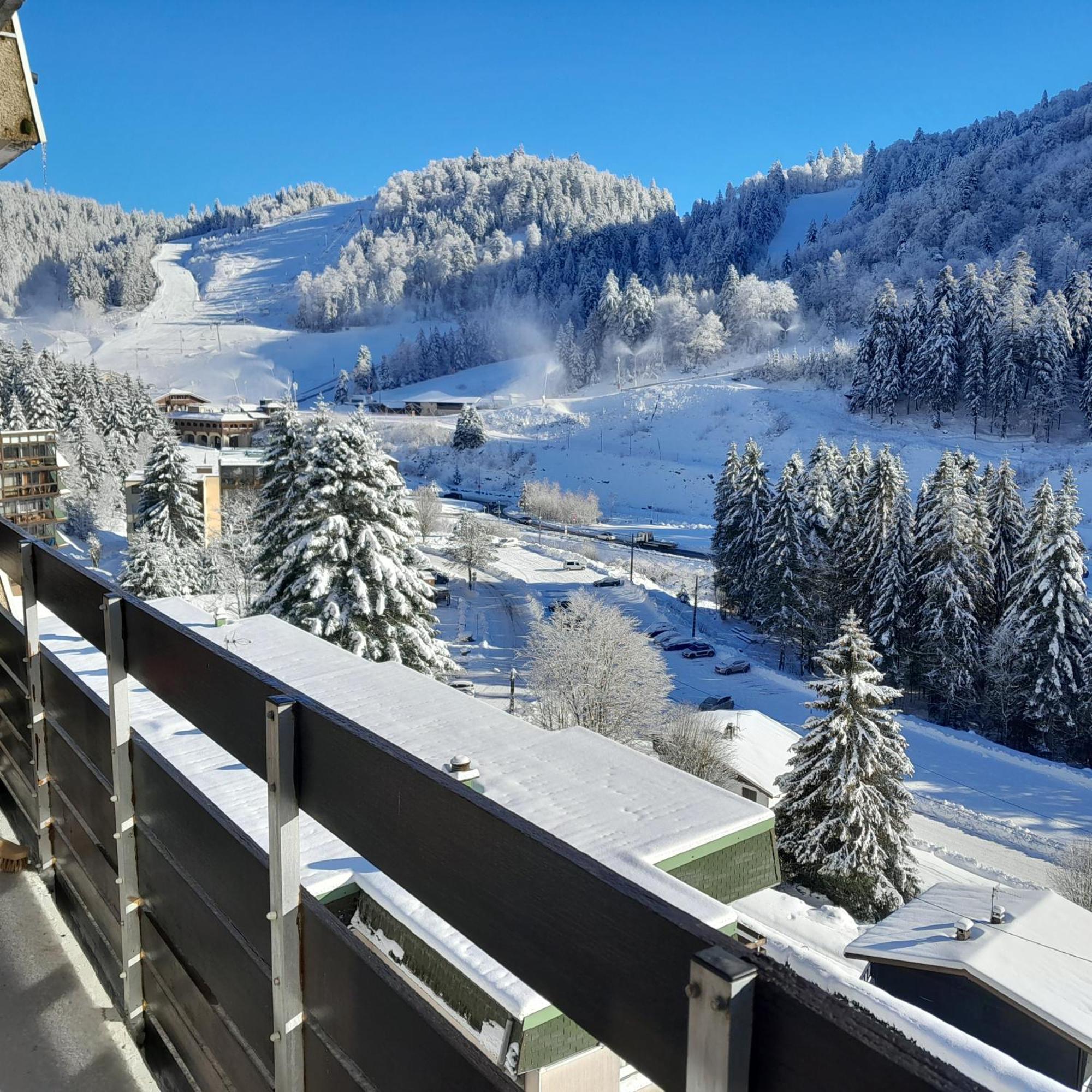 Appartement Osca Des Brimbelles La Bresse Dış mekan fotoğraf